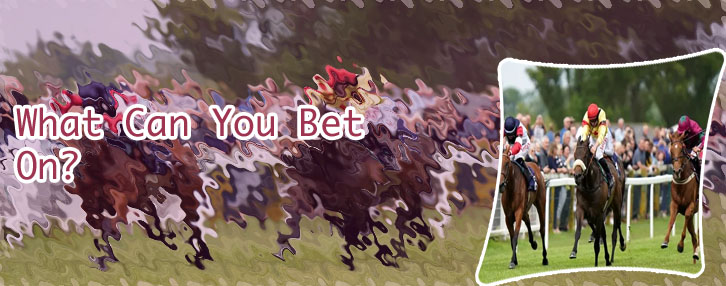 Paddy power betting horse racing