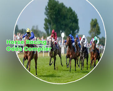 Paddy power horse racing odds